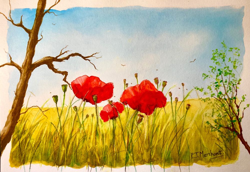 A watercolour painting of three poppies, there are poppy seed heads around them, long yellow and green and a dead tree to the left and a leafy branch coming in to the right. The sky is blue with a hint of hazy cloud