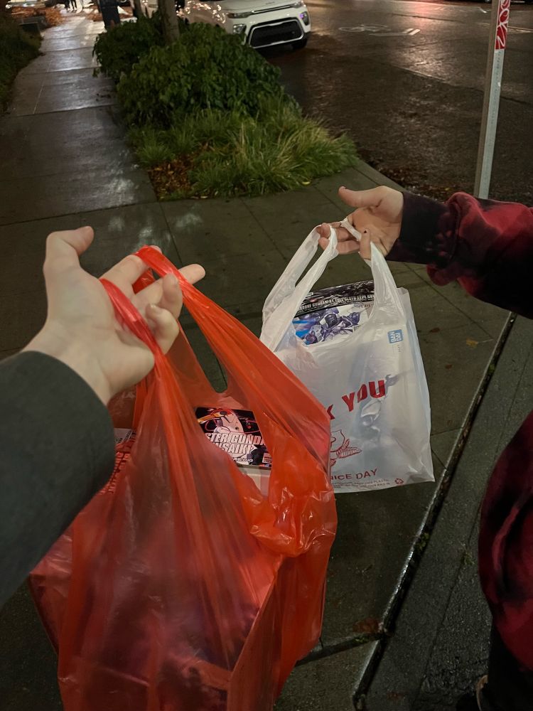 two arms holding out bags full of gunpla