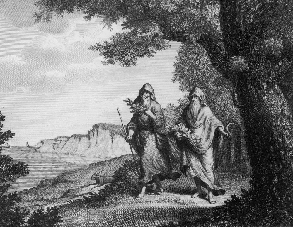 2 druids