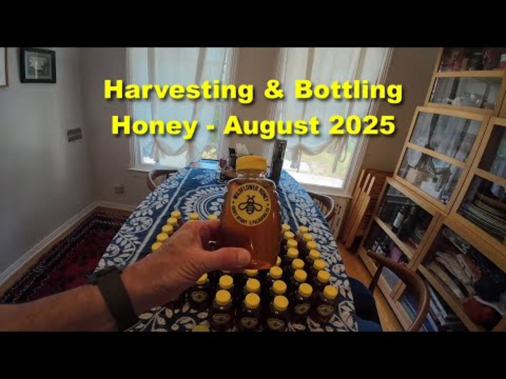 Honey Harvesting - August 2025