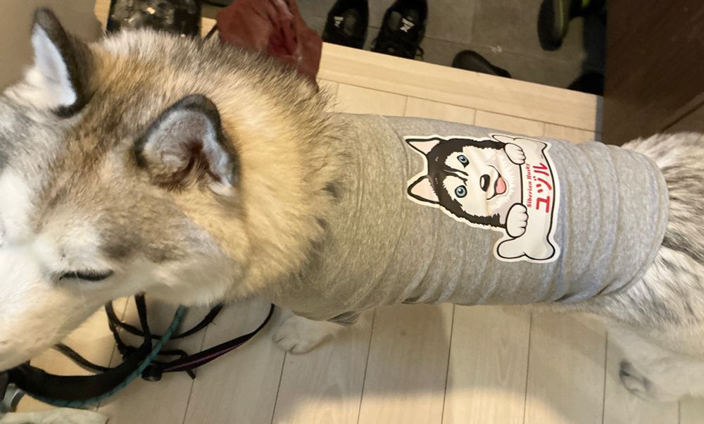 5Lサイズだって😰