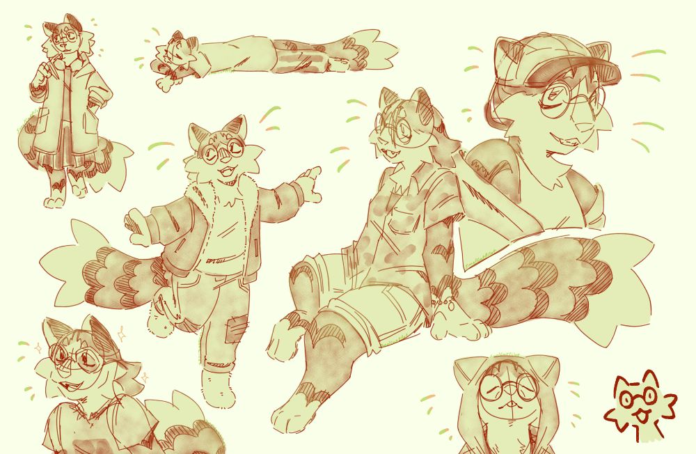 A multitude of a tabby cat furry cover the image. All in a variety of different casual fits, for different seasons.