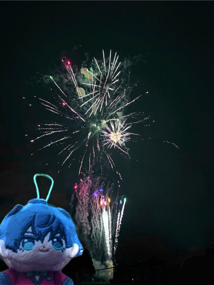 花火大会の写真
天峰のぬいぐるみを添えています