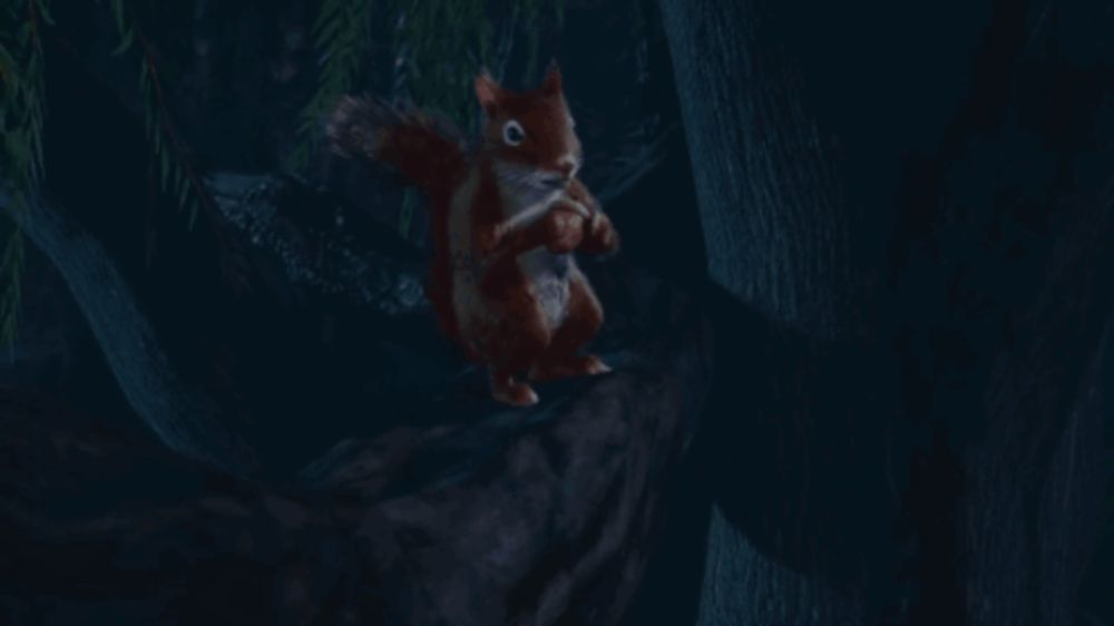 a squirrel is standing on a tree branch with a nut in its mouth