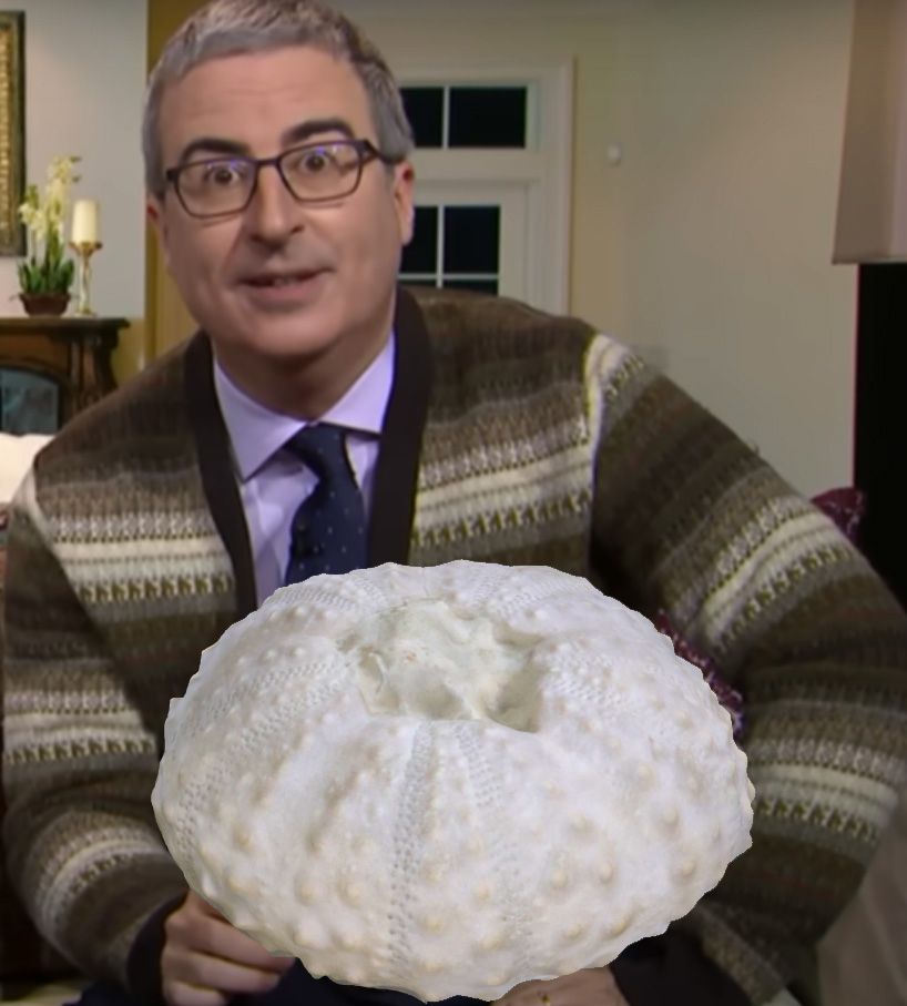 John Oliver in a sweater with his arms around a large echinoid fossil with no spines