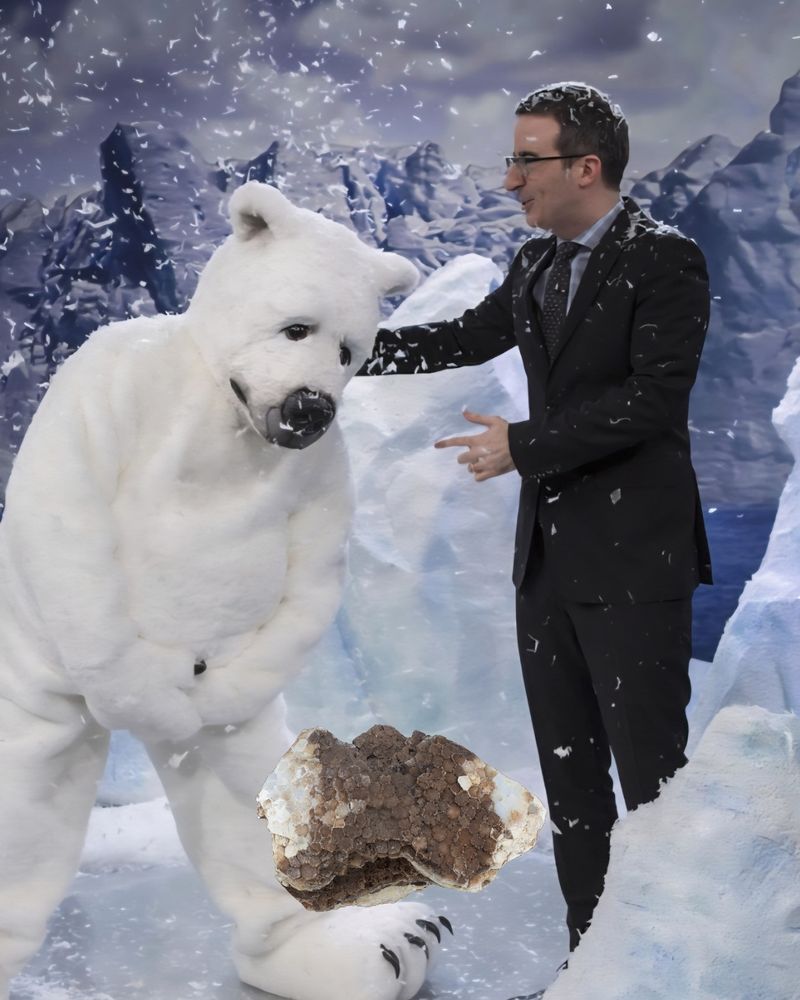 A polar bear ( a man in a polar bear costume) looks depressed looking down at a fossil tabulate coral. The coral is brown and white and you can see some of the coralites. John in a dark suit has his hand on the bears shoulder to comfort him. The set is glacial and fake snow is falling.