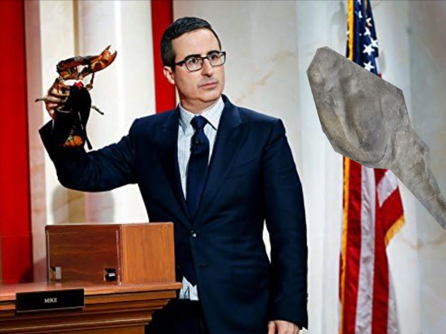 John Oliver in a courtroom style setting standing next to an American Flag holding up a lobster in judges robes both looking disapprovingly at a phyllocarid fossil in front of them.