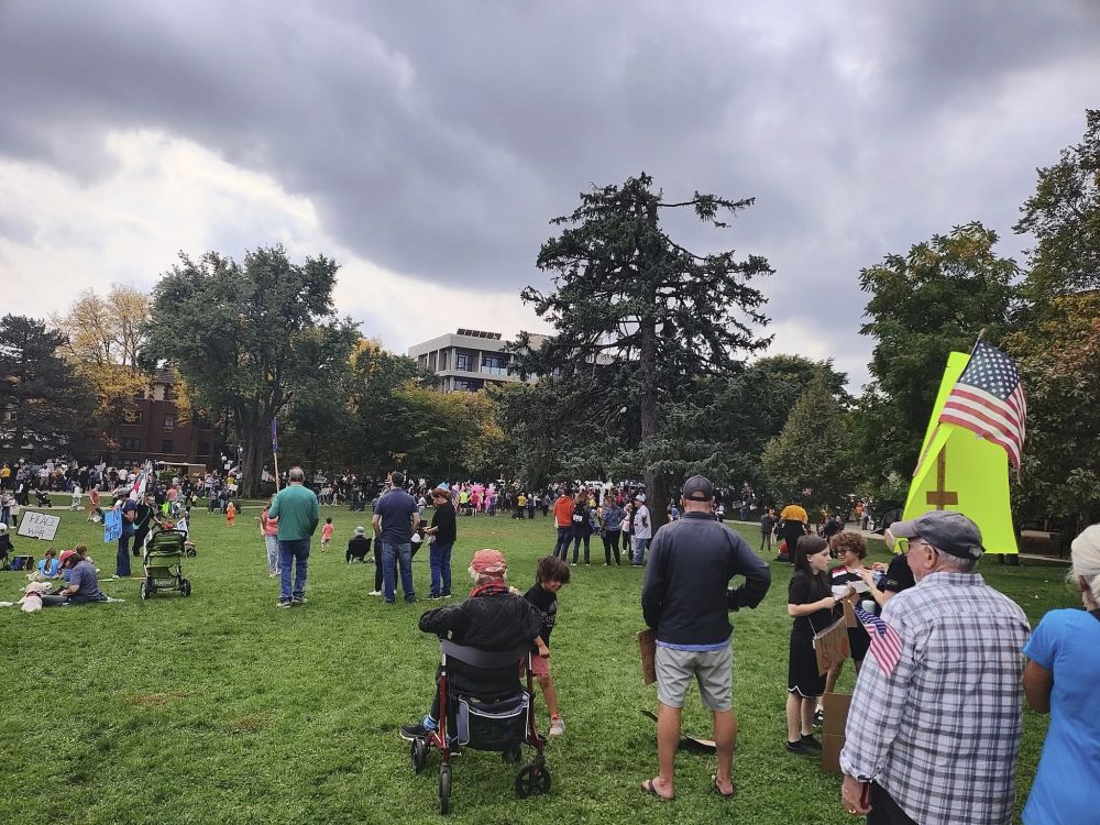 Crowds of people in Scoville Park in Oak Park, in a No Kings rally.
