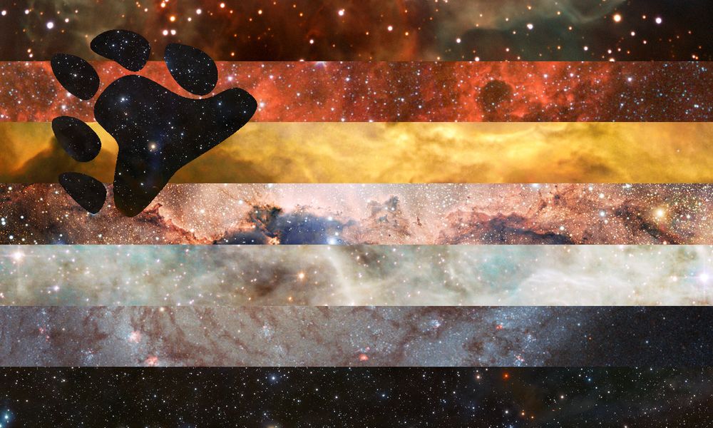 Bear flag made from photos of galaxies