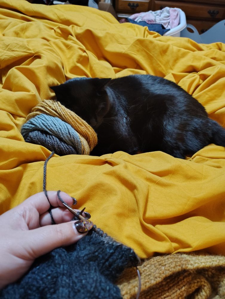 A black cat lives on a yellow comforter, her head resting on a skein of yarn as she naps. In the foreground hands hold a knitting work in progress. The working yarn comes from the skein on interrupted by the cat.