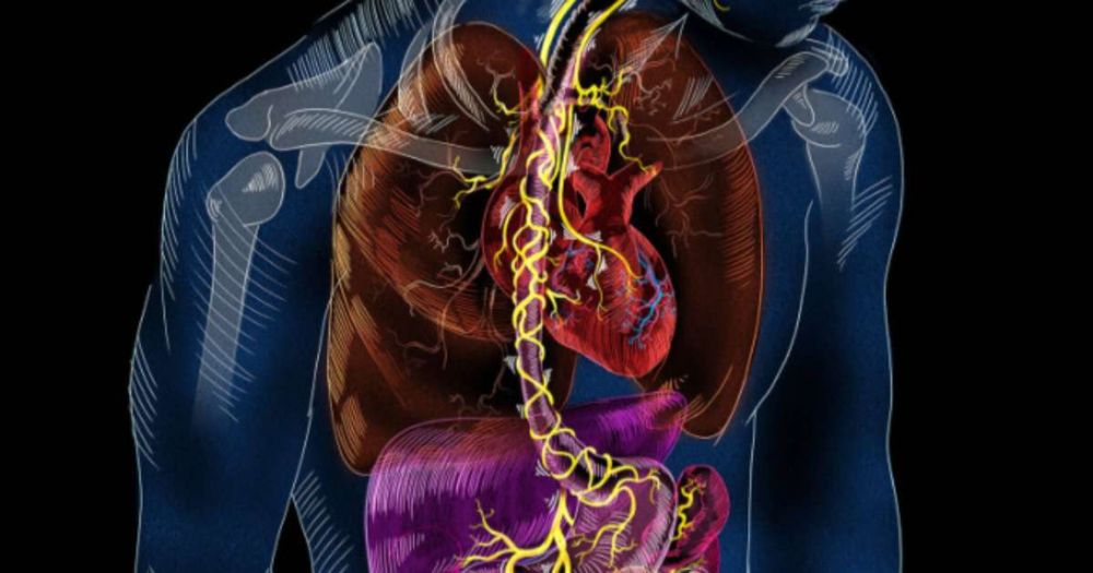 Our gut microbiota influences how we feel | Noldus