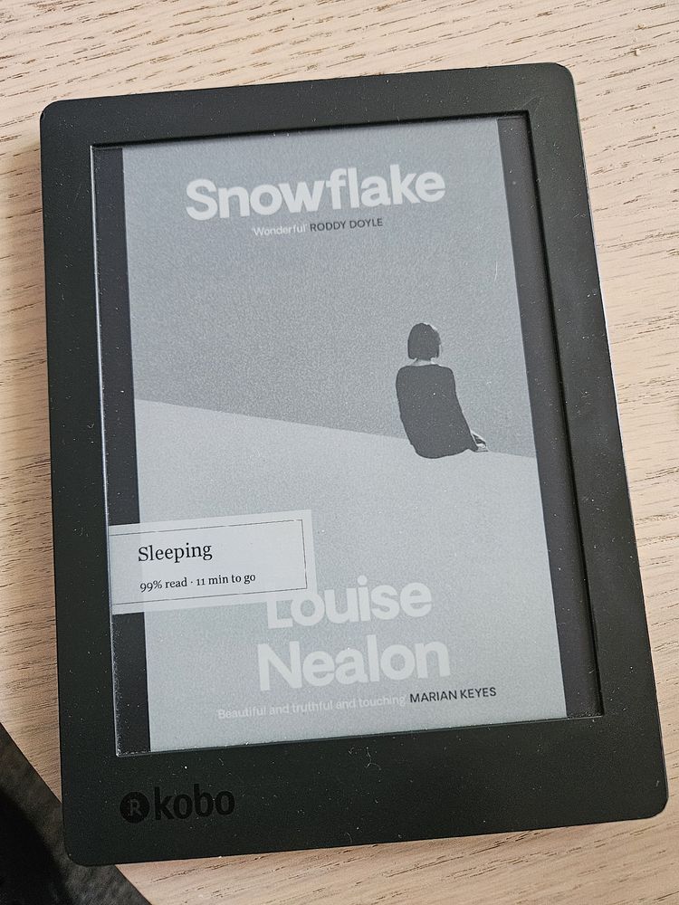 Book cover on ereader showing someone sitting on a diagonal plane. 