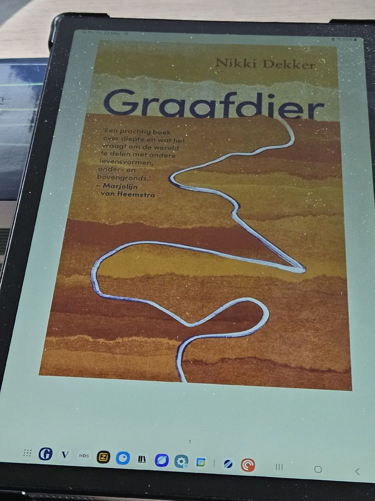 Book cover showing a small pathway down through layers of sand. 