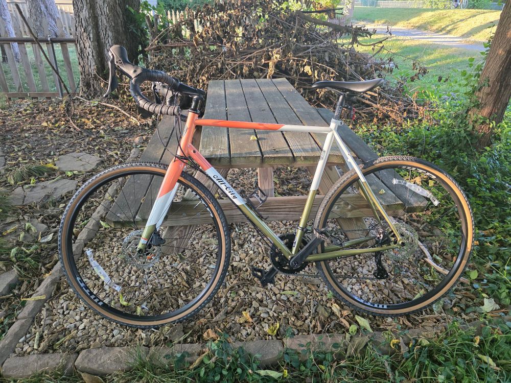 All City Cosmic Stallion propped up against a picnic table