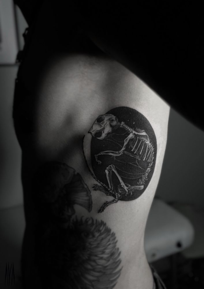 Tattoo of a squirrel skeleton in a black elipse on male ribs.
