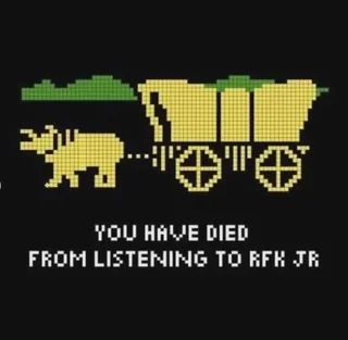 Low resolution image of ox pulling cart from the game Oregon Trail with the text "you have died from listening to RFK Jr"