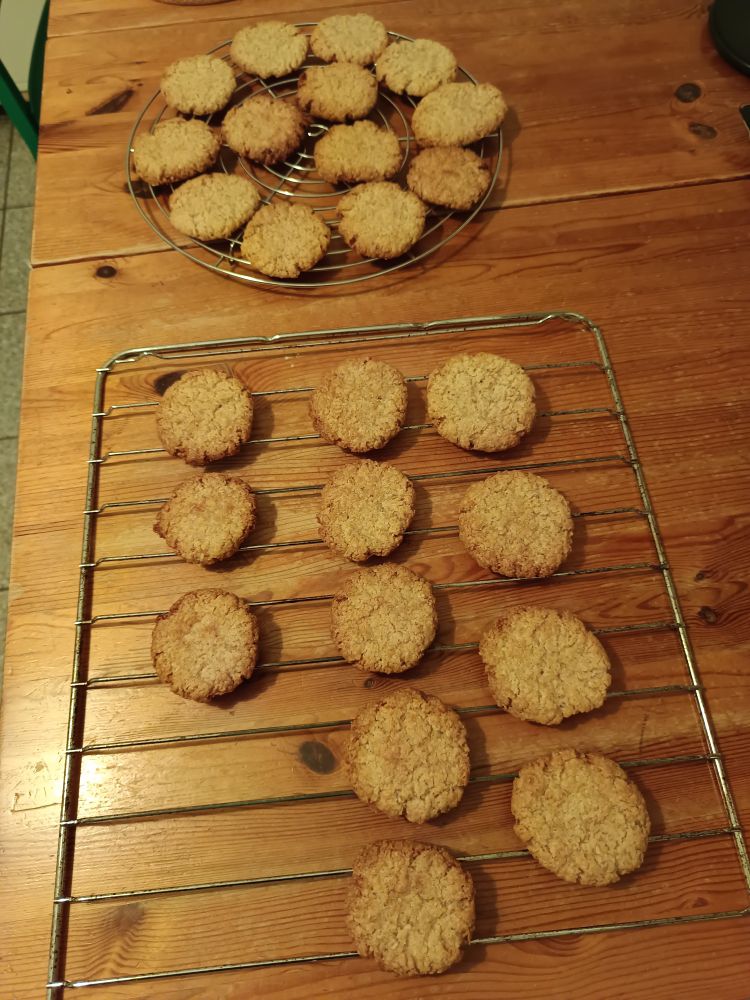 Viele runde Haferkekse auf einem Kuchengitter 