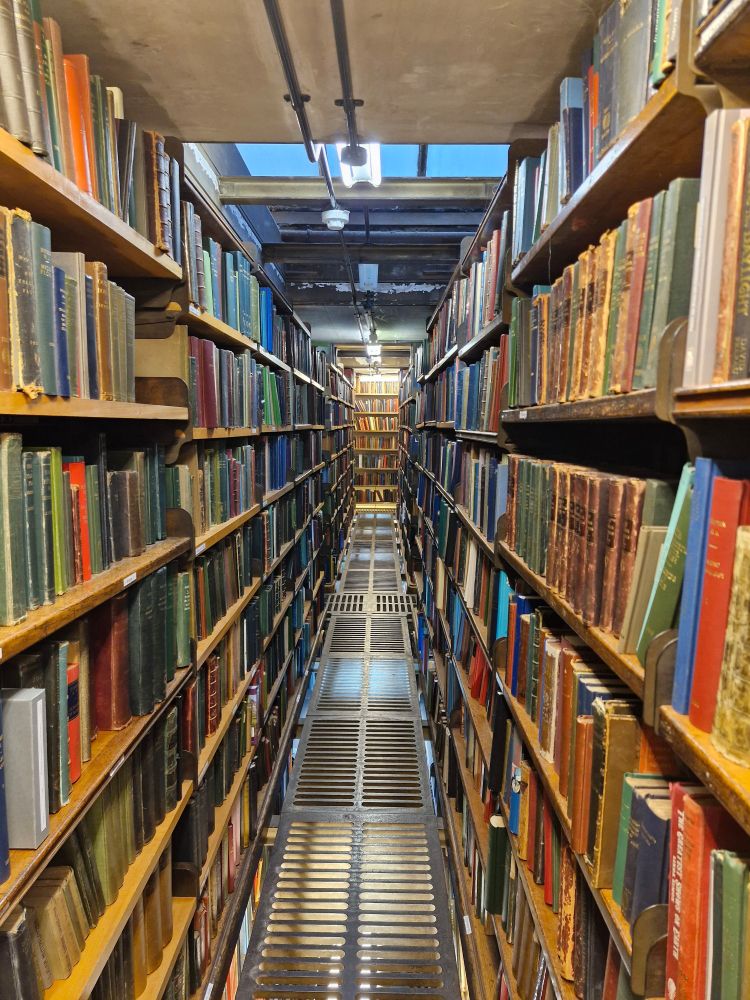 Long runs of shelving packed with books