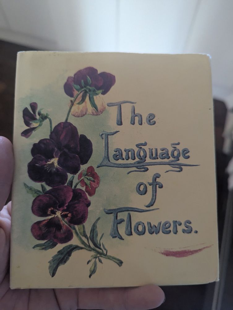 Photo of a copy of a "The Language of Flowers" book, illustrated in watercolour and hand-lettered.