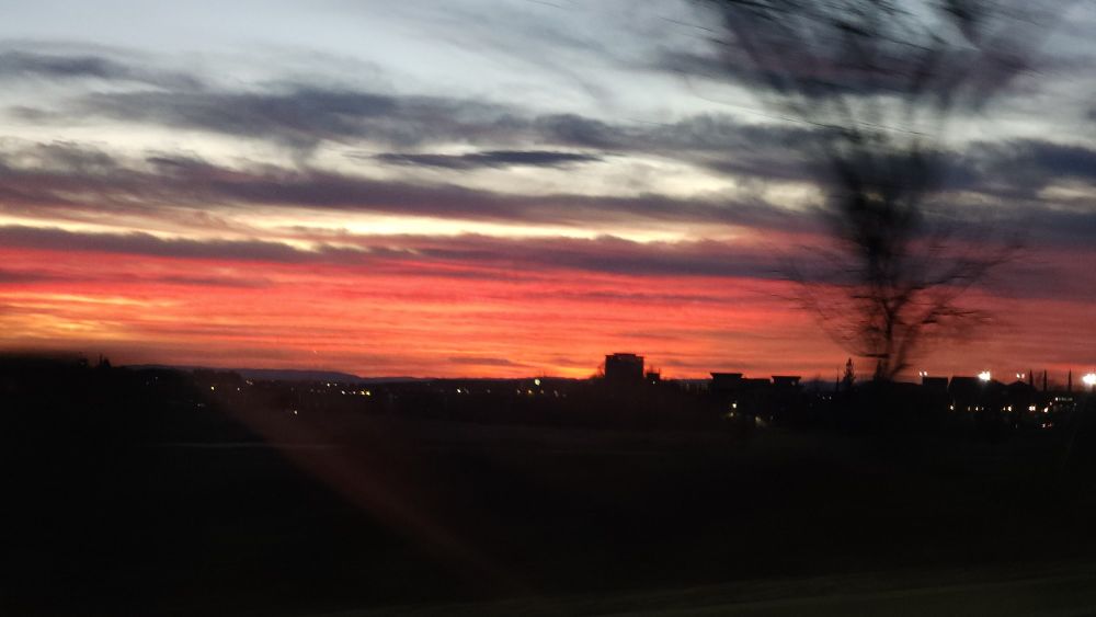 Sunset photo taken from car with a blurred tree.