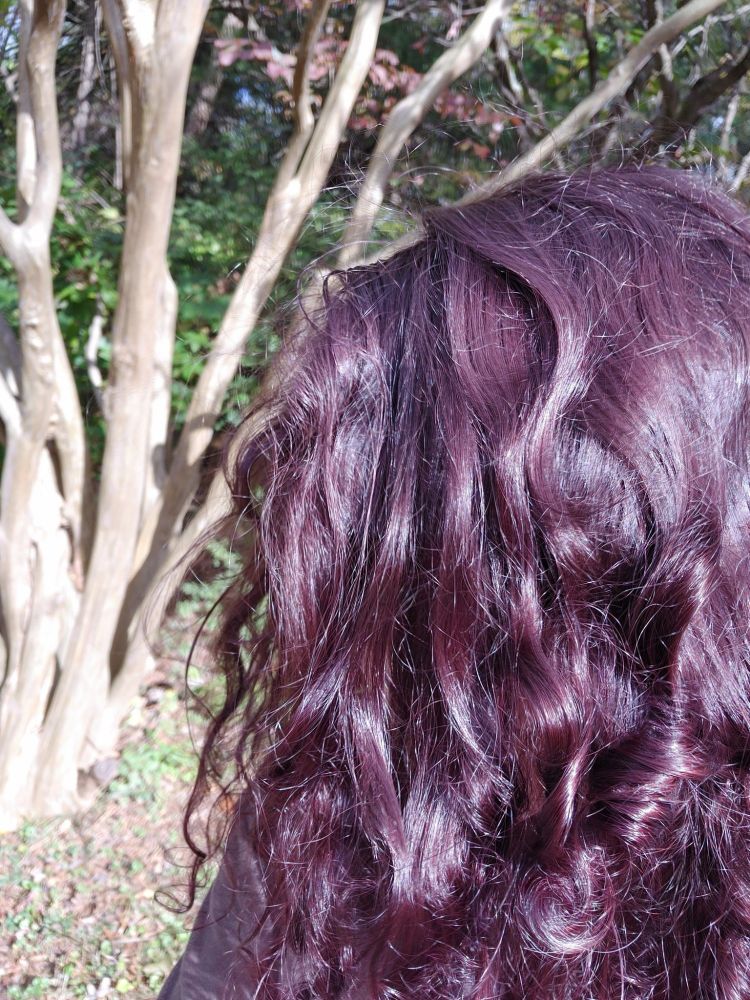 my purple hair from 2021