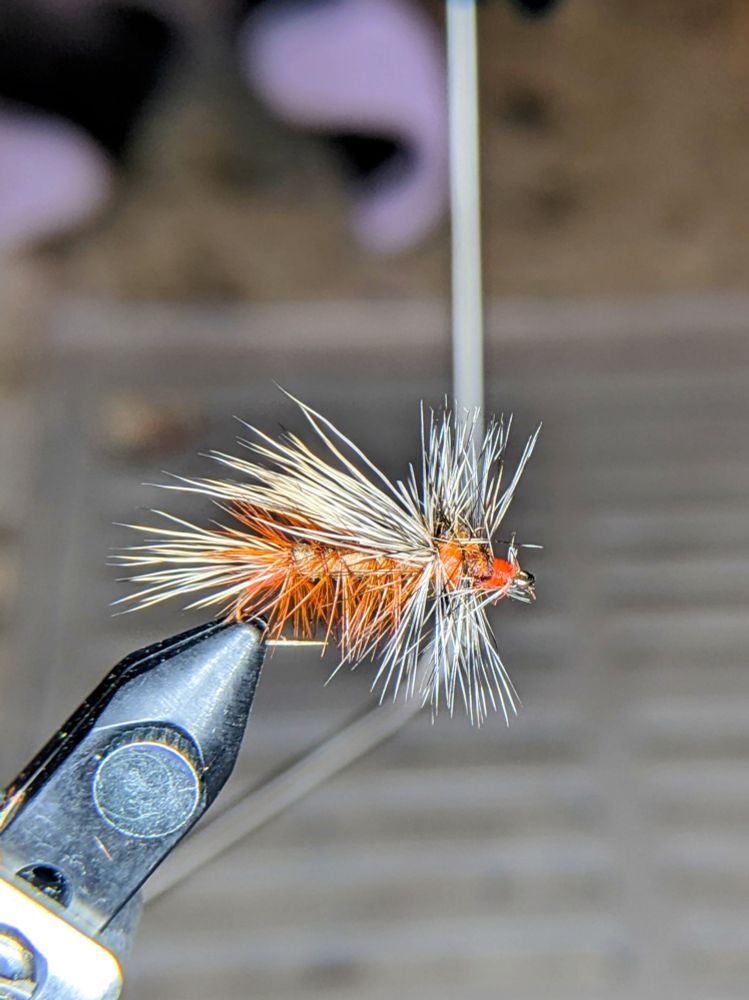 A #10 stimulator fly pattern 