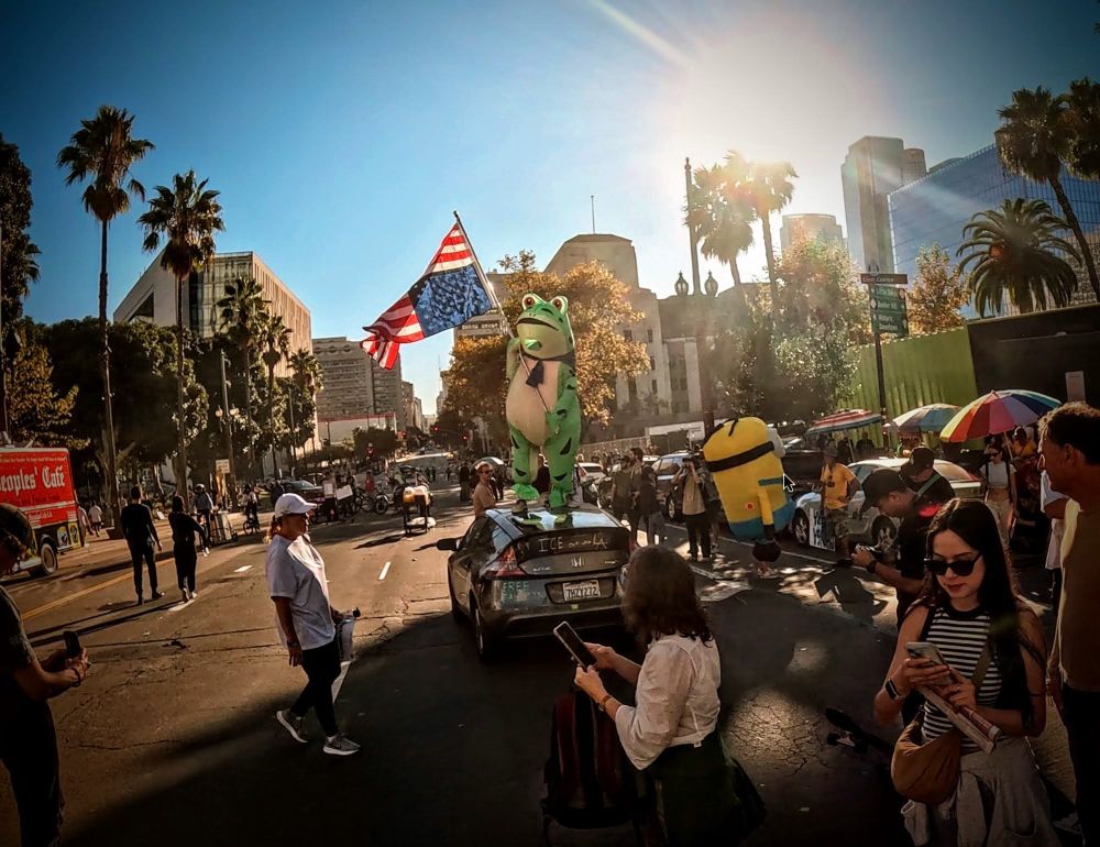 A frog dancing on a car.