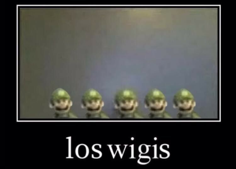 5 Luigi plushies with the caption "los wigis"
