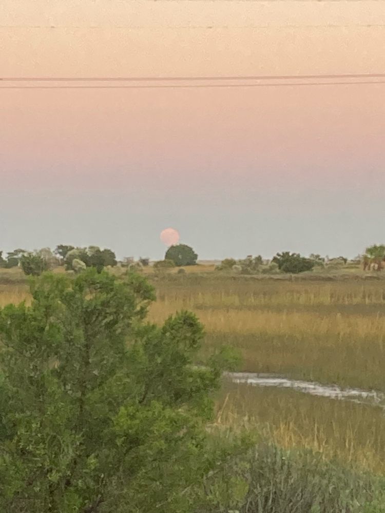 Hunter’s Moon newly risen over the salt marsh