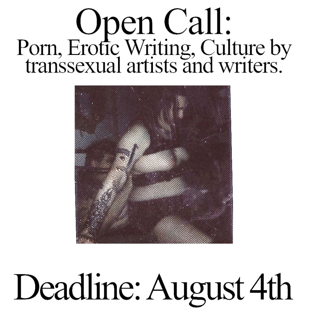 Open call:
Porn, erotic writing, culture by transsexual artists and writers 
Deadline: August 4th
Image: distorted image of a trans girl getting bound, topless