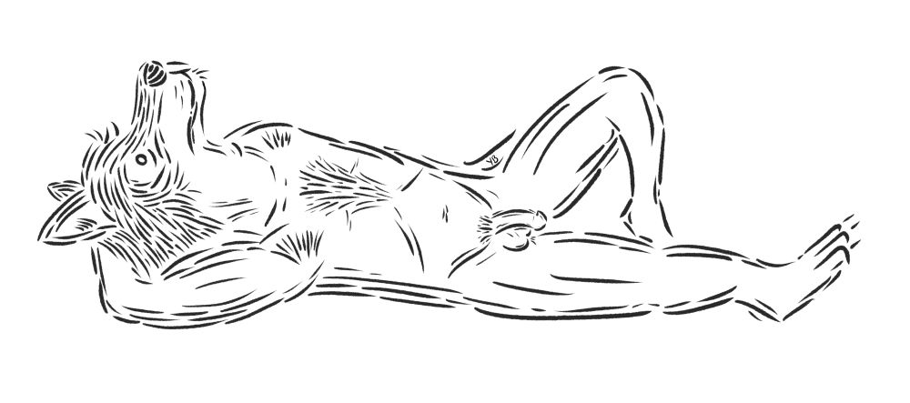 a wolf, made of thick, unconnected lines, in repose