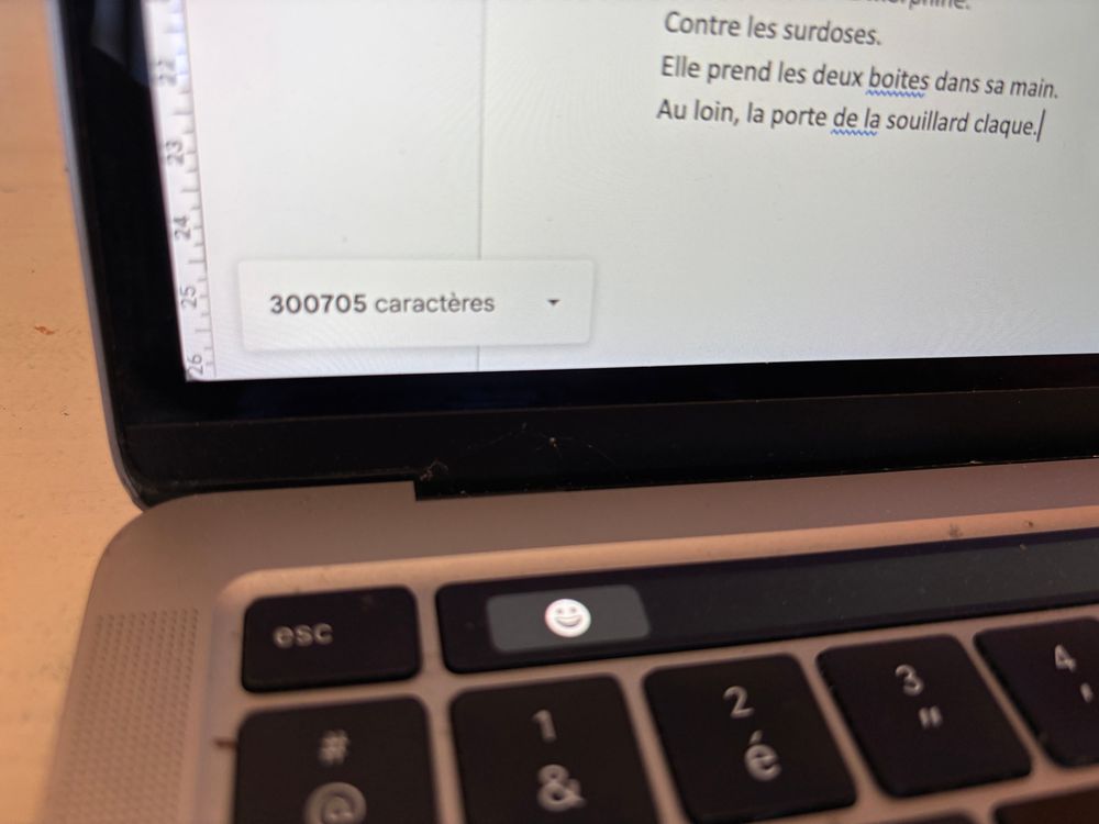 Mon écran d’ordi avec la mention : 300705 caractères 