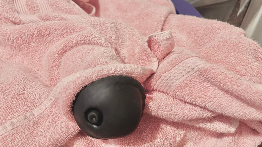 Equine style dildo with just the blunt head sticking out from under a pink towel