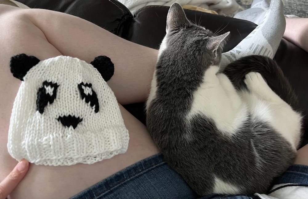 White baby hat with black round ears, black eye spots, and a black nose. It looks like a panda bear. Next to the hat is a grey and white cat