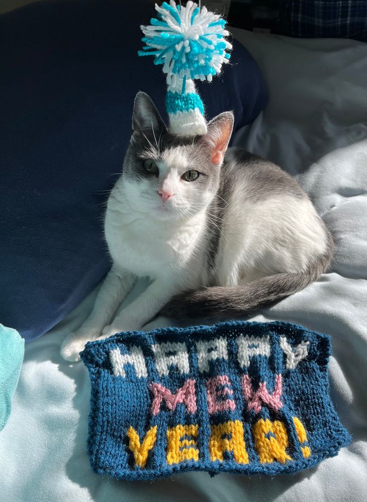 Grey and white cat wears knitted blue and white party hat with Pom Pom next to a knitted square that says “HAPPY MEW YEAR”