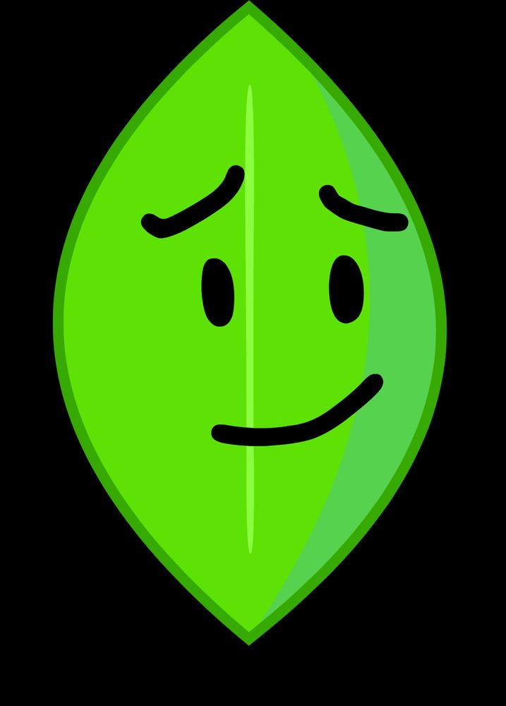 a leaf ?? with a face and limbs? idk for sure