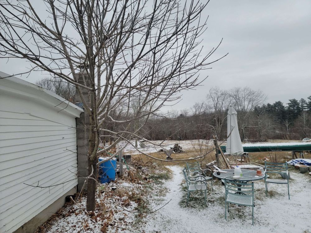 view of a side of a barn and a back yard with a skim of snow