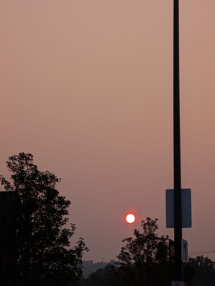 Pale solar disk with red rim on orange-brown sky framed by trees and lightpost