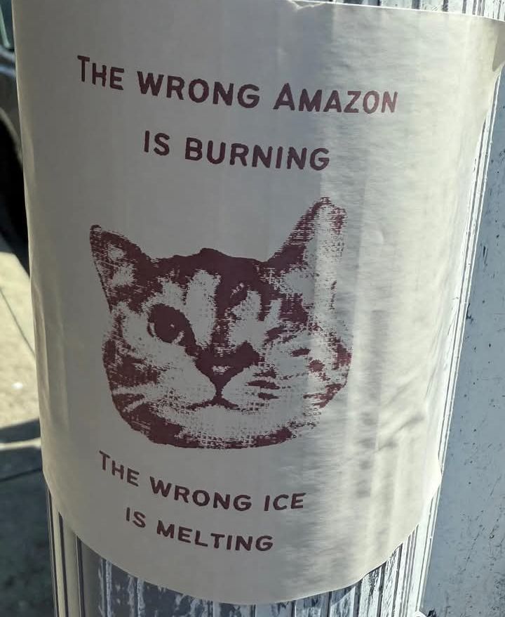 Poster reads The wrong Amazon is burning. The wrong ICE is melting.