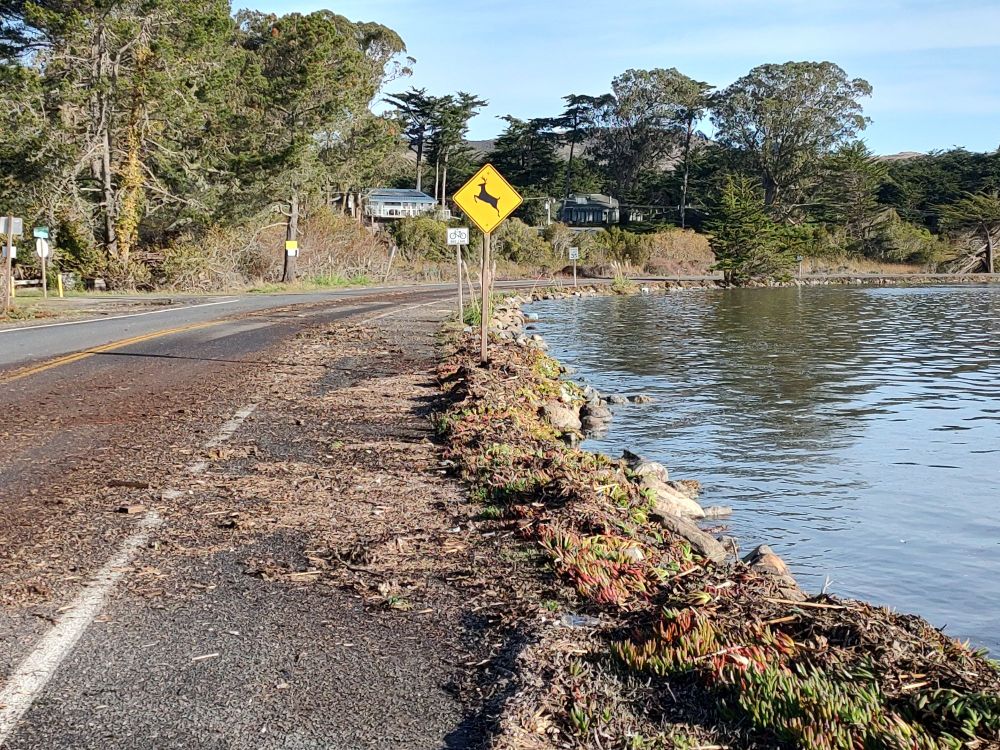 Water comes up to the road, which has plant debris on it from previous overtopping of the road. A deer crossing sign is next to the road.