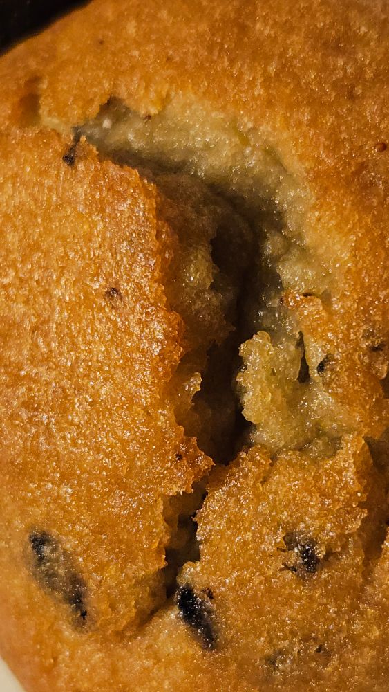 obskønt nærbilde av en svett butikkmuffins type blåbær