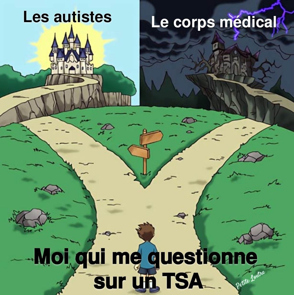 Un personnage devant deux chemins. L'un mène à un château sous le soleil, l'autre vers un paysage désolé sous l'orage avec un château en ruines.

Le personnage se questionne sur un trouble du spectre autistique. Le château sous le soleil est l'accueil réservé par les autistes, le château en ruines celui du corps médical.