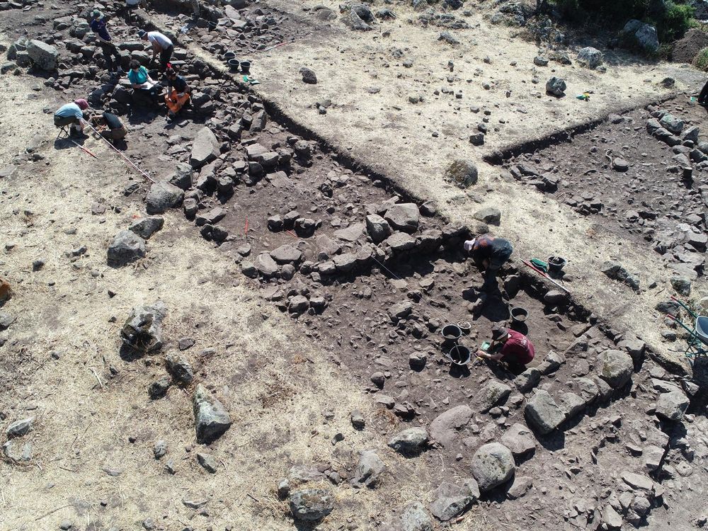 Aerial view of Middle Bronze Age rectangular buildings ST8.1 and ST8.3 at Punta Ferulosu (Bonorva) during the 2025 excavation