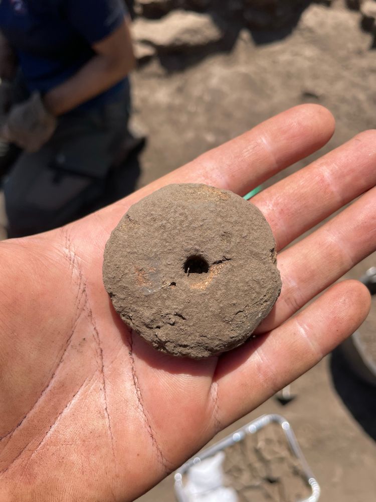 Middle Bronze Age spindle whorl from Punta Ferulosu (Bonorva) 2025 excavation