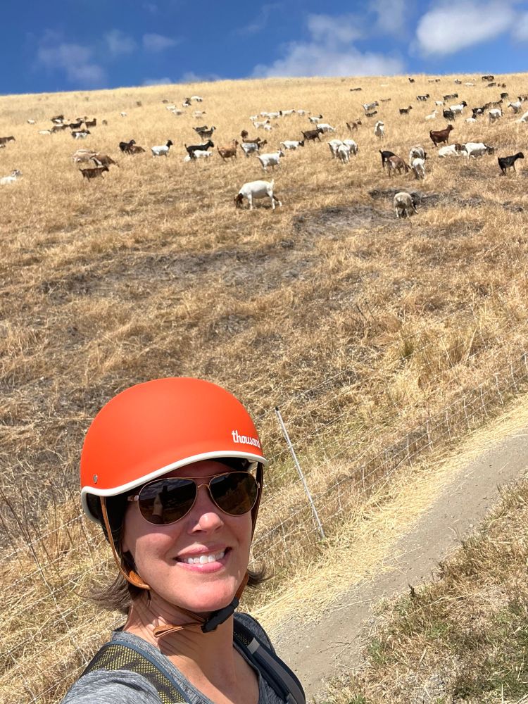 A woman wearing an orange bike helmet and sunglasses smiles for a selfie with a hillside of goats in the background. 