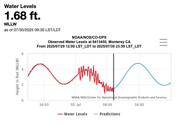 A data plot of the predicted tide in Monterey (smooth blue line going up and down a few times over 18 hours) and the observed water level (red line that starts with following the blue line very closely, but then becomes erratic and spiky after midnight on July 30th). 