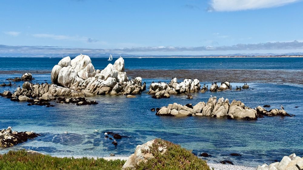 A view out to Monterey Bay on a sunny, clear day. Bird Rock is in the foreground, and the calm shoreline shows clear water. 