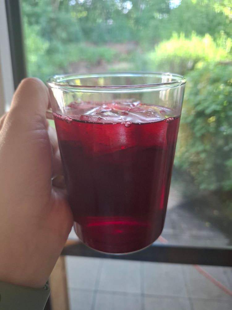 a hand holding a transparent cup. it's filled with red-pink hibiscus tea and ice cubes. in the background, a blurry garden can be seen. 