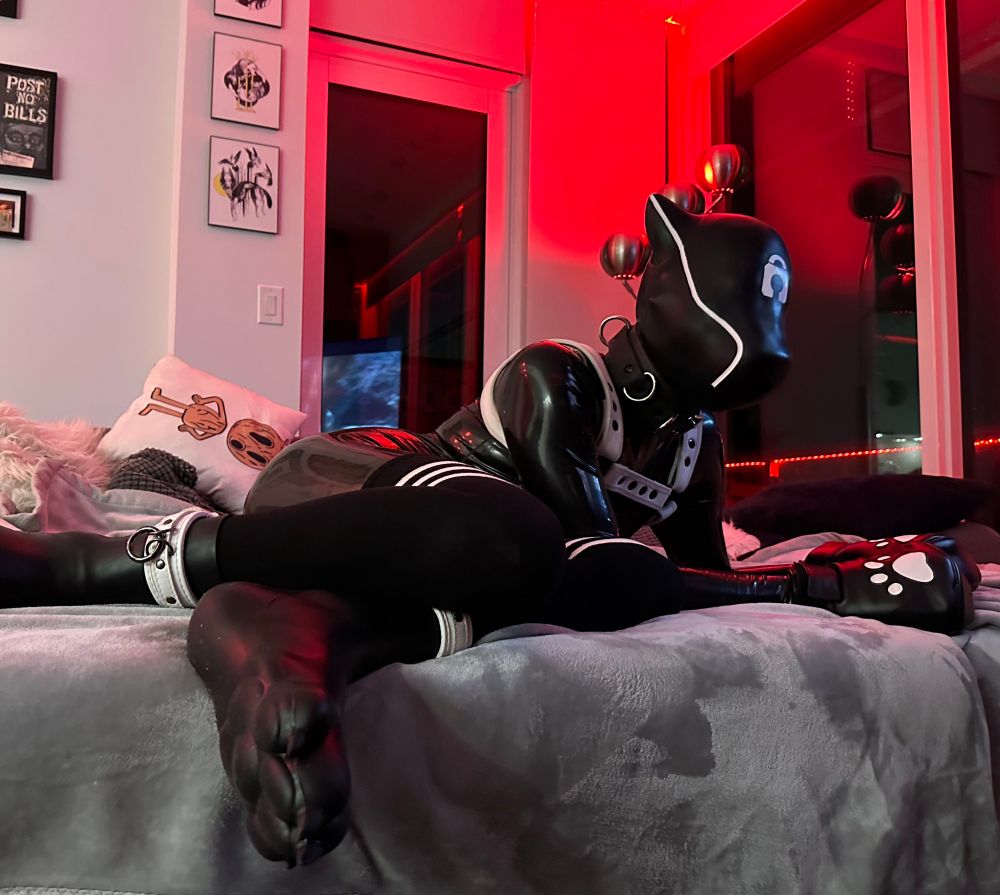 Mindless sex dog drone.