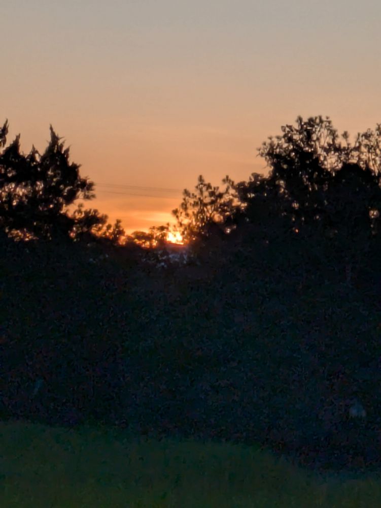 Sunrise over the trees. 